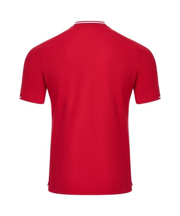 Поло DIVISION PerFormDRY Polo, красный (2118692) Поло DIVISION PerFormDRY Polo, красный (2118692)