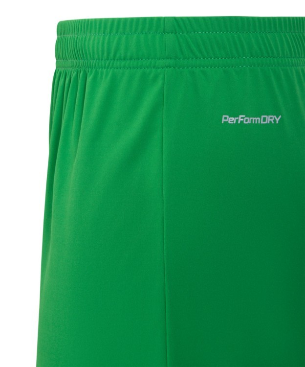 Шорты вратарские JOGEL NATIONAL PerFormDRY GK Shorts, зеленый (2113596)