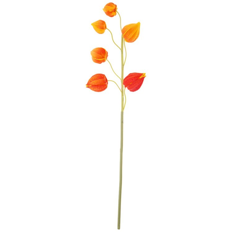 Цветок искусственный "физалис" высота=66см, оранжевый Lefard (377-277)