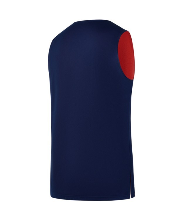 Майка двухсторонняя DIVISION PerFormDRY Double-Side RBF Jersey, темно-синий/красный (2118553) Майка двухсторонняя DIVISION PerFormDRY Double-Side RBF Jersey, темно-синий/красный (2118553)