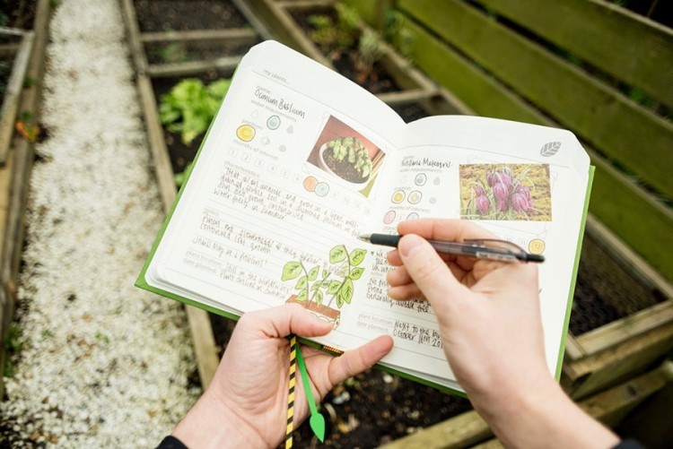 Дневник садовода my gardening, зеленый (61133)