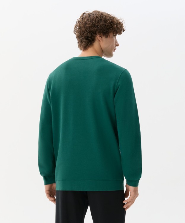 Свитшот JÖGEL ESSENTIAL Sweatshirt, темно-зеленый (2121990) Свитшот JÖGEL ESSENTIAL Sweatshirt, темно-зеленый (2121990)