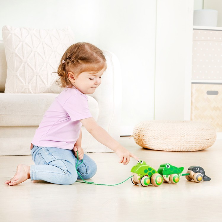 Игрушка для малышей каталка "Семья лягушек на прогулке" (E0365_HP)
