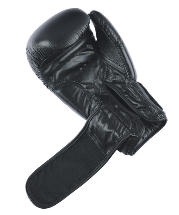 Перчатки боксерские ARES, кожа, черный, 12 oz (1738622)