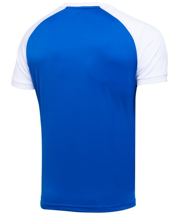 Футболка игровая JÖGEL CAMP Reglan Jersey, синий/белый, детский (702241) Футболка игровая JÖGEL CAMP Reglan Jersey, синий/белый, детский (702241)