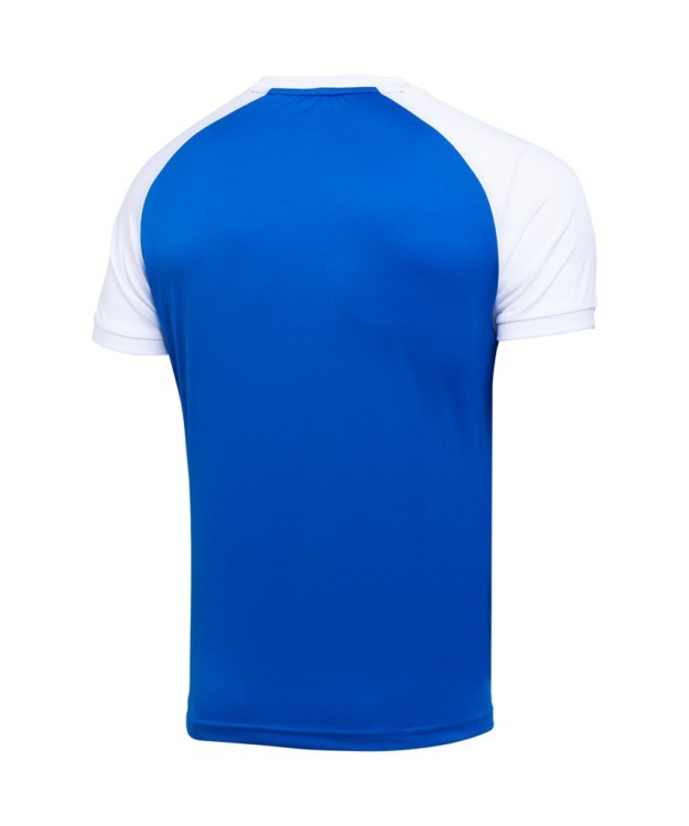 Футболка игровая JOGEL CAMP Reglan Jersey, синий/белый, детский (702239)