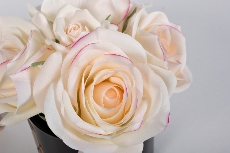 Диффузор Five Rose Pink, спрей Pink Peonies 10мл в уп. (TT-00006252)