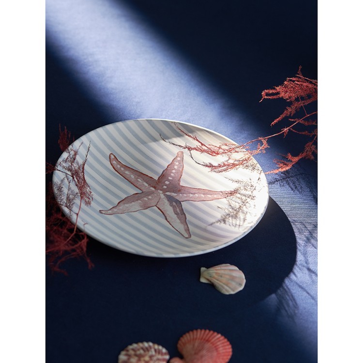 Набор из четырех тарелок aquarium из коллекции sea treasures, D21,5 см (78071)