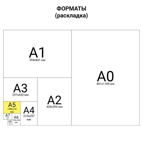 Тетрадь на кольцах А5 Brauberg Main 120 листов клетка 402005 (2) (86299)