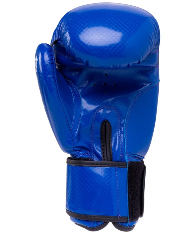 Перчатки боксерские Panther BGP-2098, 12 oz, синий (434404)