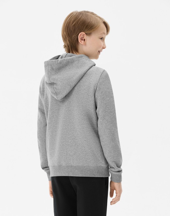 Худи JÖGEL ESSENTIAL Cotton Hoodie, серый меланж, детский (2121842) Худи JÖGEL ESSENTIAL Cotton Hoodie, серый меланж, детский (2121842)