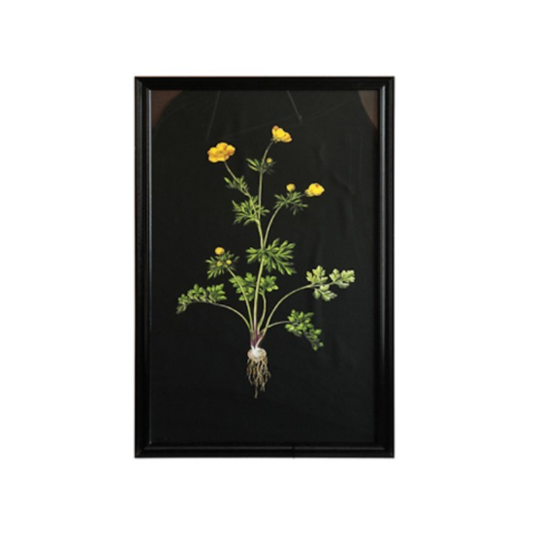 Постер Жёлтый цветок TO-AIBTC381PFFRFTZ, дерево, стекло, mixed, ROOMERS FURNITURE