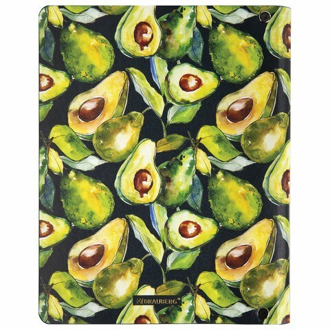 Тетрадь на кольцах А5 Brauberg Vista Avocado 80 листов клетка 112130 (1) (86309) Тетрадь на кольцах А5 Brauberg Vista Avocado 80 листов клетка 112130 (1) (86309)