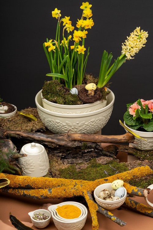 Набор мерных чаш birds of paradise, кремовые, 4 шт. (75077)