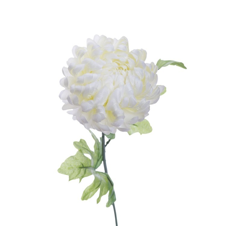 Хризантема белая 63 см (24) (00002432)