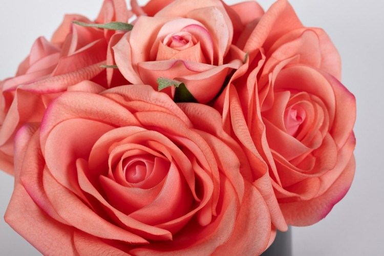 Диффузор Five Rose Peach, спрей Rose Oud 10мл в упак. (TT-00006254)