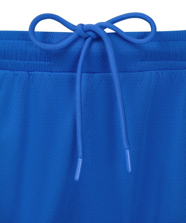 Шорты баскетбольные JÖGEL DIVISION PerFormDRY Shorts Z2, синий (2130698) Шорты баскетбольные JÖGEL DIVISION PerFormDRY Shorts Z2, синий (2130698)