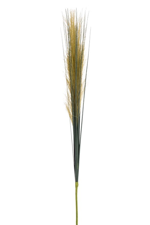 Камыш травянистый бежевый  80см (36) (TT-00009838)