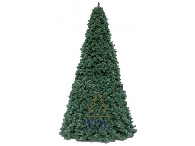 Ель высотная Royal Christmas Giant Trees (580 см) (55090)