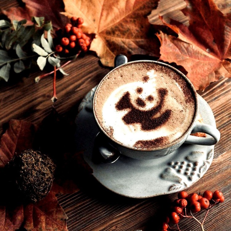 Кружка MA226-CRM(MC091-00201I), керамика, Cream, CASAFINA BY COSTA NOVA