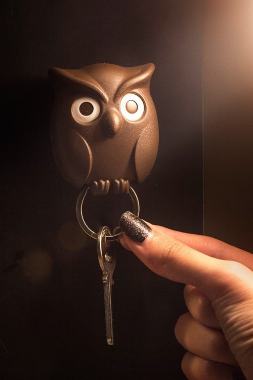 Держатель для ключей night owl, коричневый (54624)