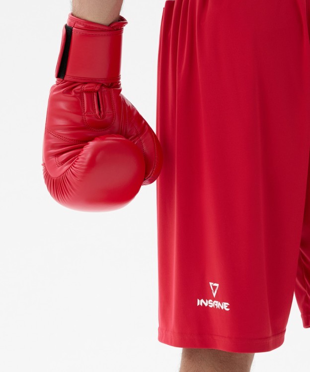 Перчатки боксерские INSANE RBF, красный, 12 oz (2127994)