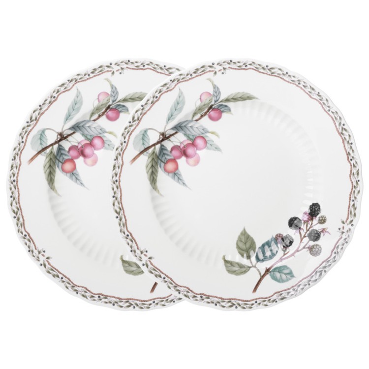 Набор тарелок обеденных lefard "fruit garden" 2 шт. 25,5 см Lefard (590-648)