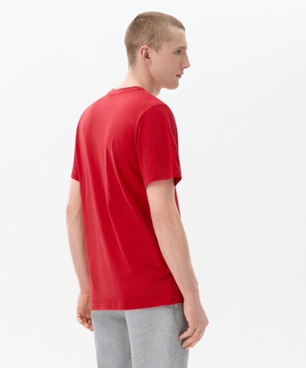 Футболка ESSENTIAL Core Tee, красный (2121181) Футболка ESSENTIAL Core Tee, красный (2121181)