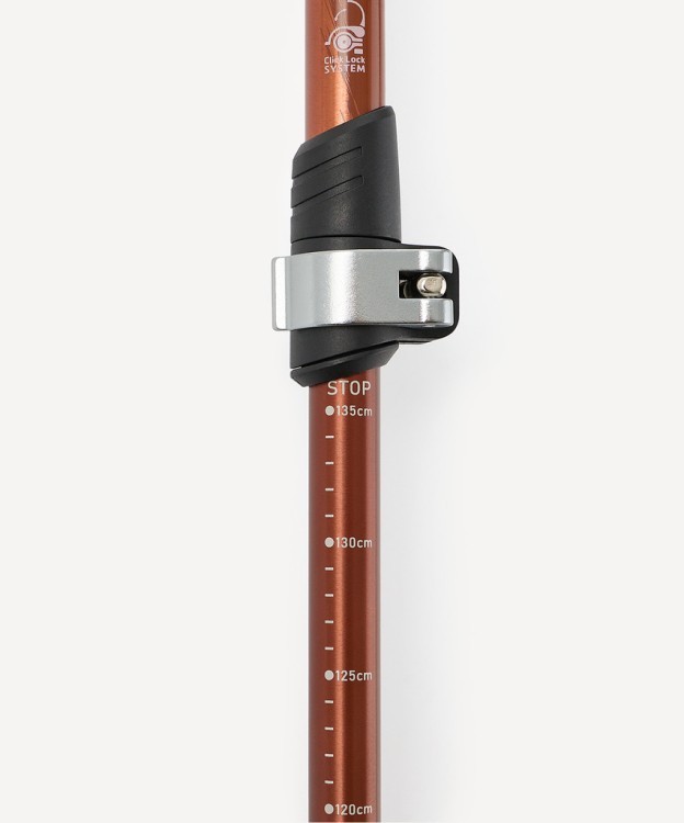 Треккинговые палки Berger Hiking Mount, 65-135 см, 3-секционные, терракотовый (2119449) Треккинговые палки Berger Hiking Mount, 65-135 см, 3-секционные, терракотовый (2119449)