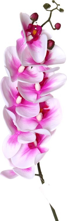 Цветок искусственный длина=90 см "орхидея" Huajing Plastic (23-279)