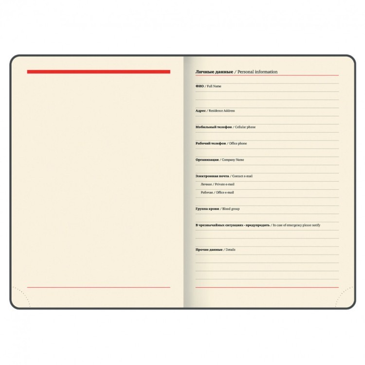 Ежедневник датированный 2024 г. А4 210х297 мм, Brauberg "Iguana", под кожу, коричневый, 114776 (89399)