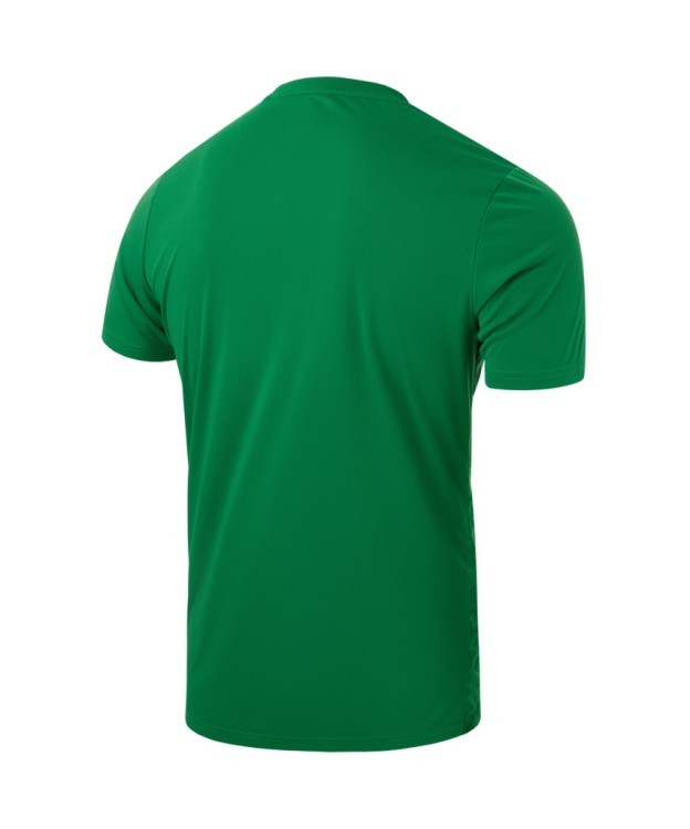 Футболка вратарская JÖGEL DIVISION PerFormDRY SPLASH GK Jersey, зеленый (2120577)