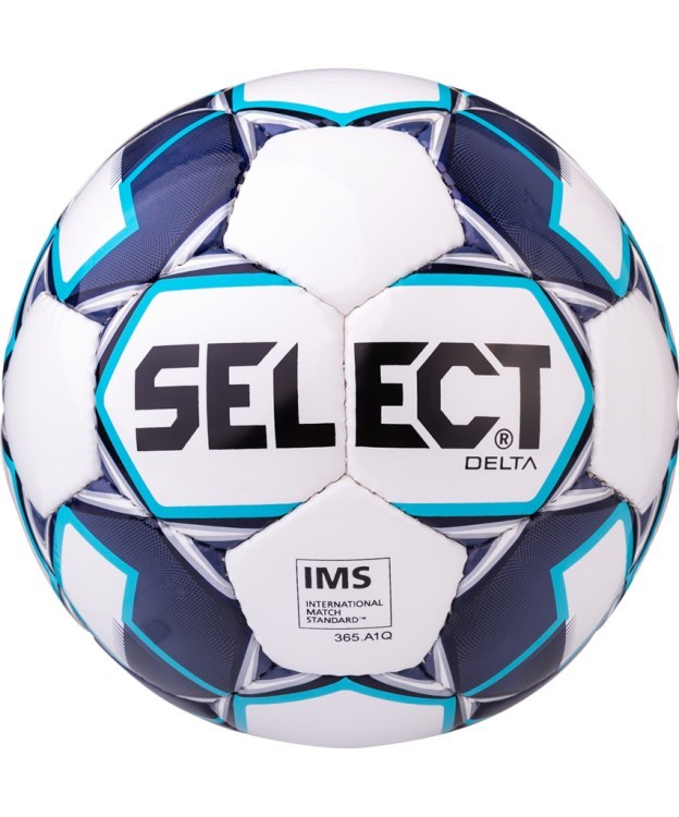 Мяч футбольный Delta IMS 815017, №5, белый/темно-синий/голубой (594477)