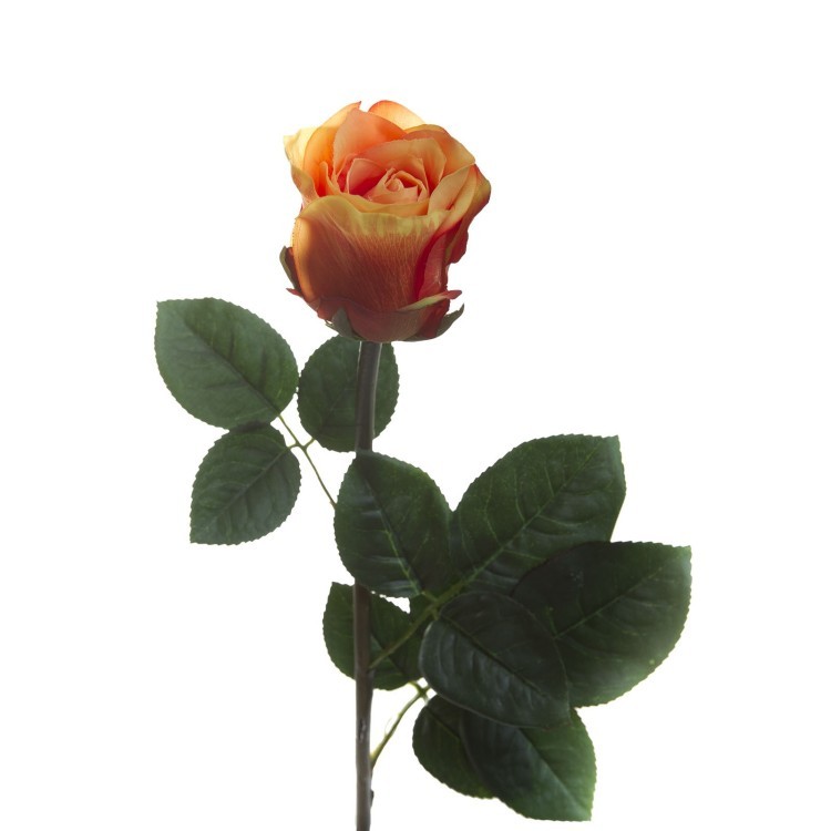 Роза оранжево-пурпурная 50 см (12) (00001148)