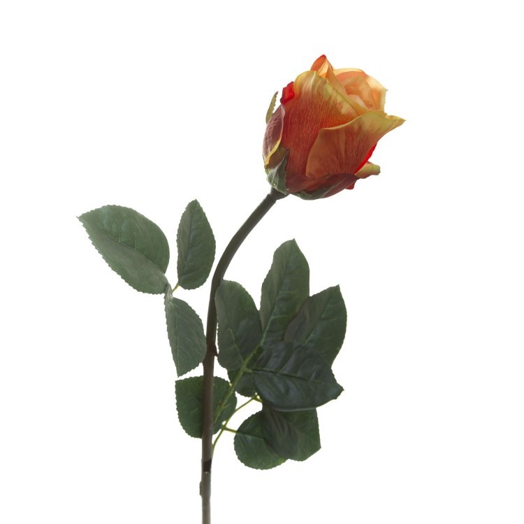 Роза оранжево-пурпурная 50 см (12) (00001148)