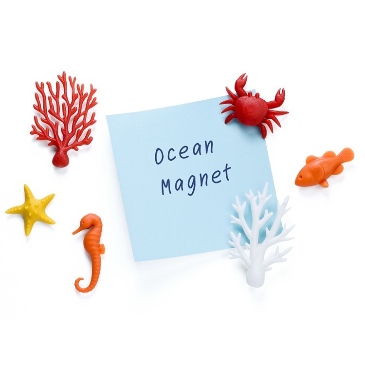Набор магнитов ocean, 6 шт. (68797)