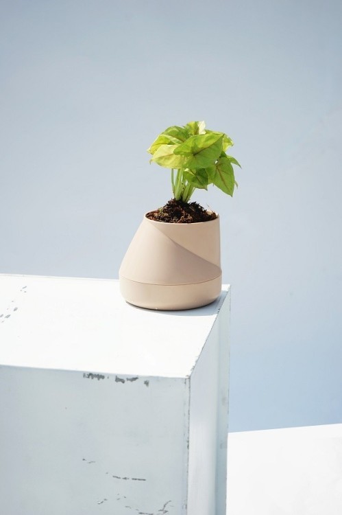 Горшок цветочный hill pot, маленький, кремовый (62161)