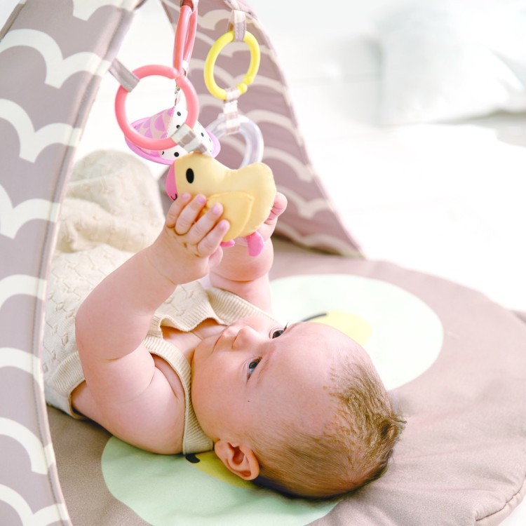 Серия Пастель - Развивающий коврик для новорожденных "Совушка" (E8535_HP)