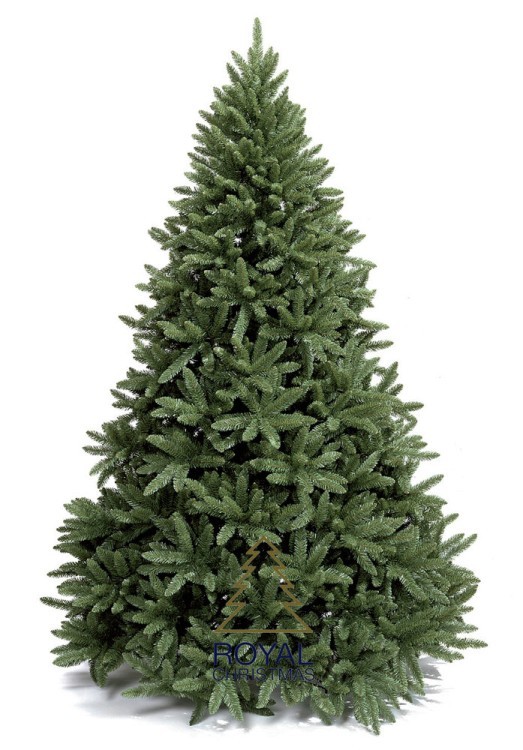 Ель Royal Christmas Washington 230240 (240 см) (51720) Ель Royal Christmas Washington 230240 (240 см) (51720)