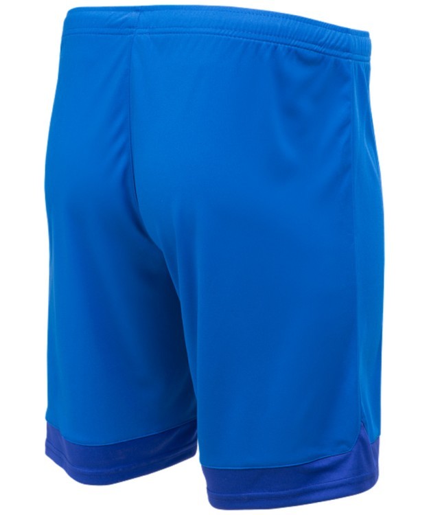 Шорты игровые DIVISION PerFormDRY Union Shorts, синий/темно-синий/белый (1020690) Шорты игровые DIVISION PerFormDRY Union Shorts, синий/темно-синий/белый (1020690)