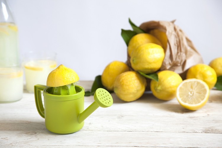 Соковыжималка для лимонов lemoniere (58867)