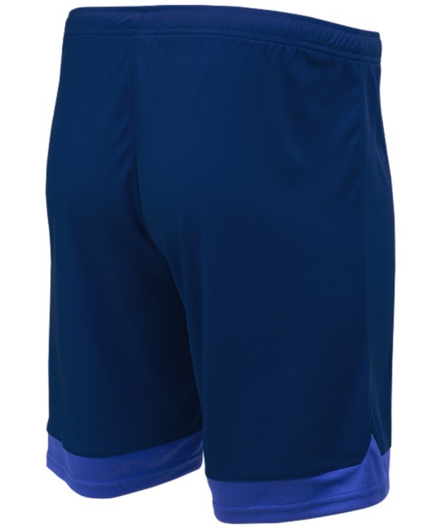 Шорты игровые DIVISION PerFormDRY Union Shorts, темно-синий/синий/белый (1751770) Шорты игровые DIVISION PerFormDRY Union Shorts, темно-синий/синий/белый (1751770)