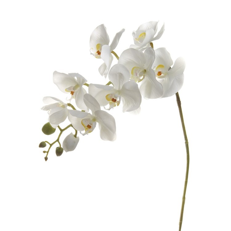 Орхидея белая 105 см (6) (00000199)