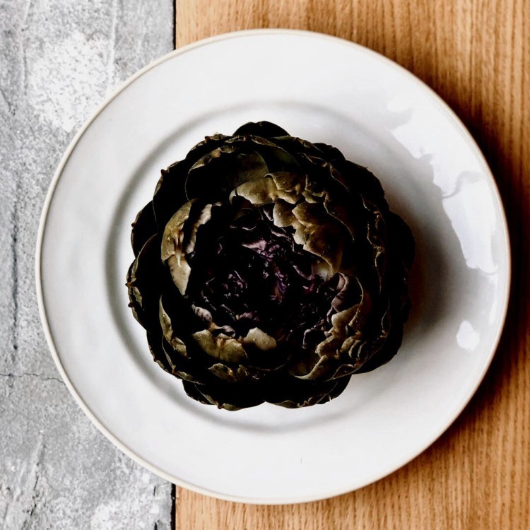 Чаша ATS141-CRM(ATS141-05407E), 14 см, керамика, white, Costa Nova