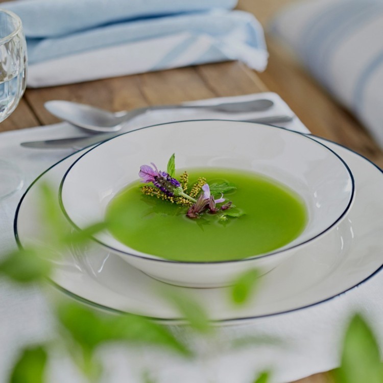 Чаша ATS141-BLU(ATS141-00721C), 14 см, керамика, white, blue, Costa Nova