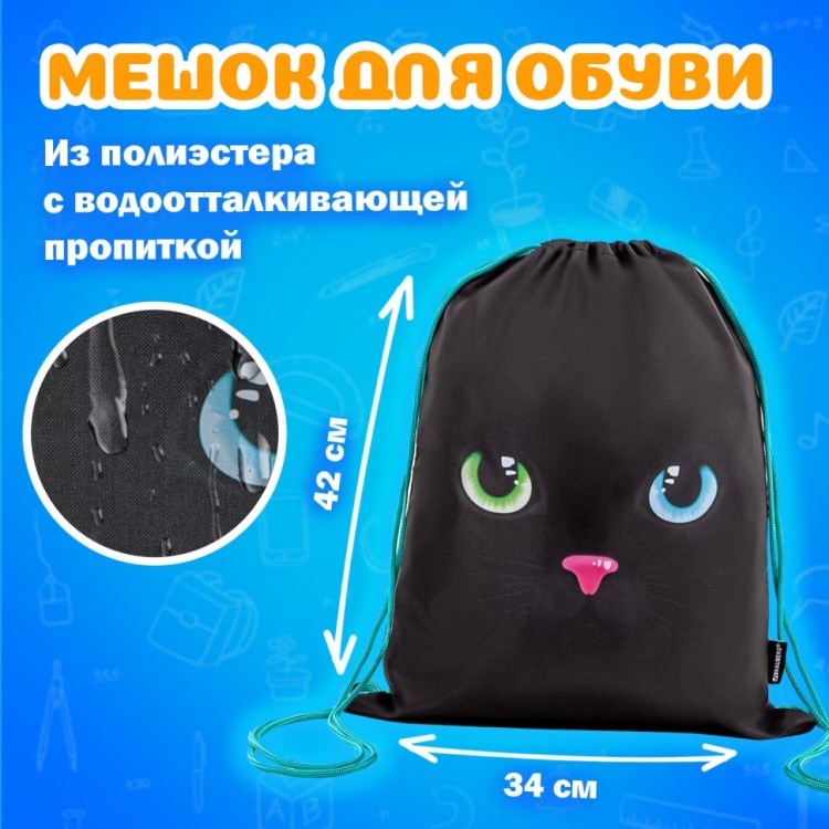 Школьный набор BRAUBERG: папка А4 мешок для обуви 42х33 пенал-косм Black cat 271434 (1) (93205)