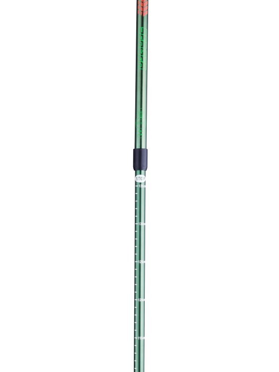 Палки для скандинавской ходьбы Longway, 77-135 см, 2-секционные, тёмно-зеленый/оранжевый (291772)