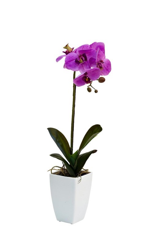 Орхидея сиреневая в горшке, 52 см (TT-00000841)