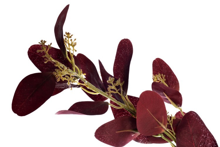 9F28558-BR Веточка эвкалипта с цветами листья бордовые 72см (24) (TT-00006443)