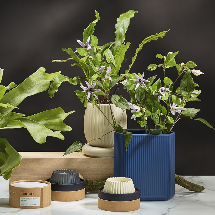 Свеча ароматическая vetiver & black cypress из коллекции edge, серый, 30 ч (75669)